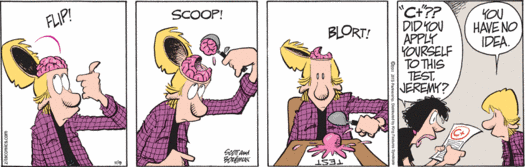 11-11-09 Zits